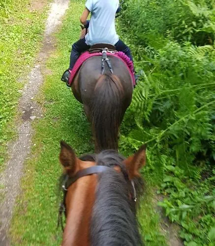 Apartament Karasek Mit Seeblick *